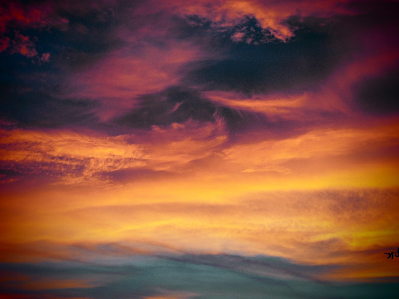 极信通信- 麻辣食品代理平台