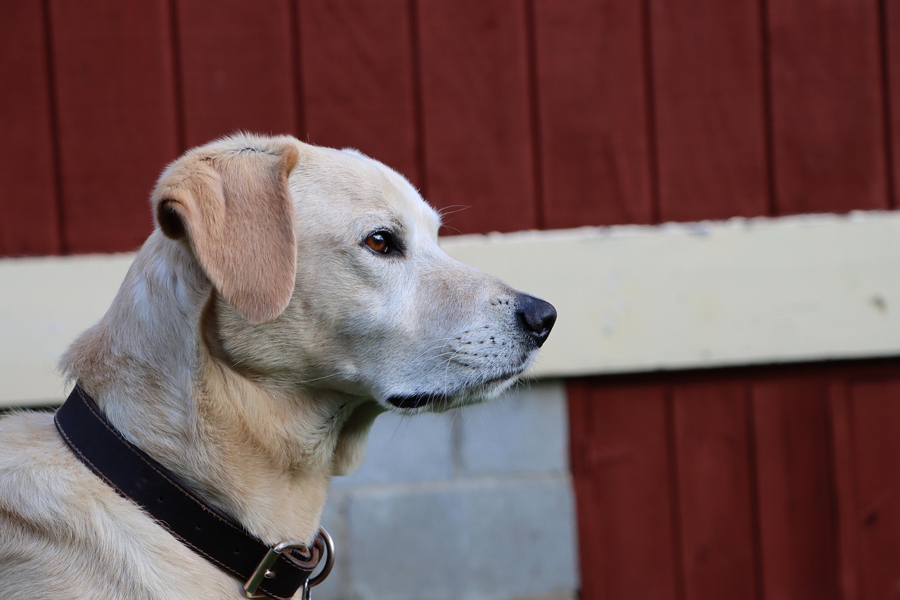 搜狐实名账号：萧山外资公司注册代理机构