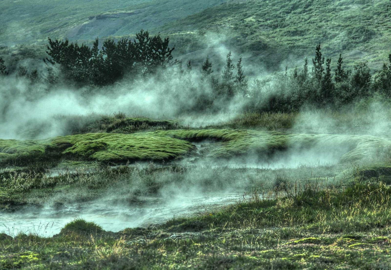 详情下载教程火苗会议app