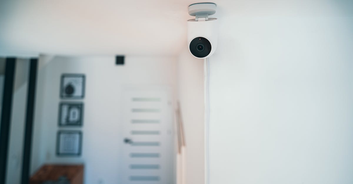 DDOS网页端|skmeiw03详情下载教程app