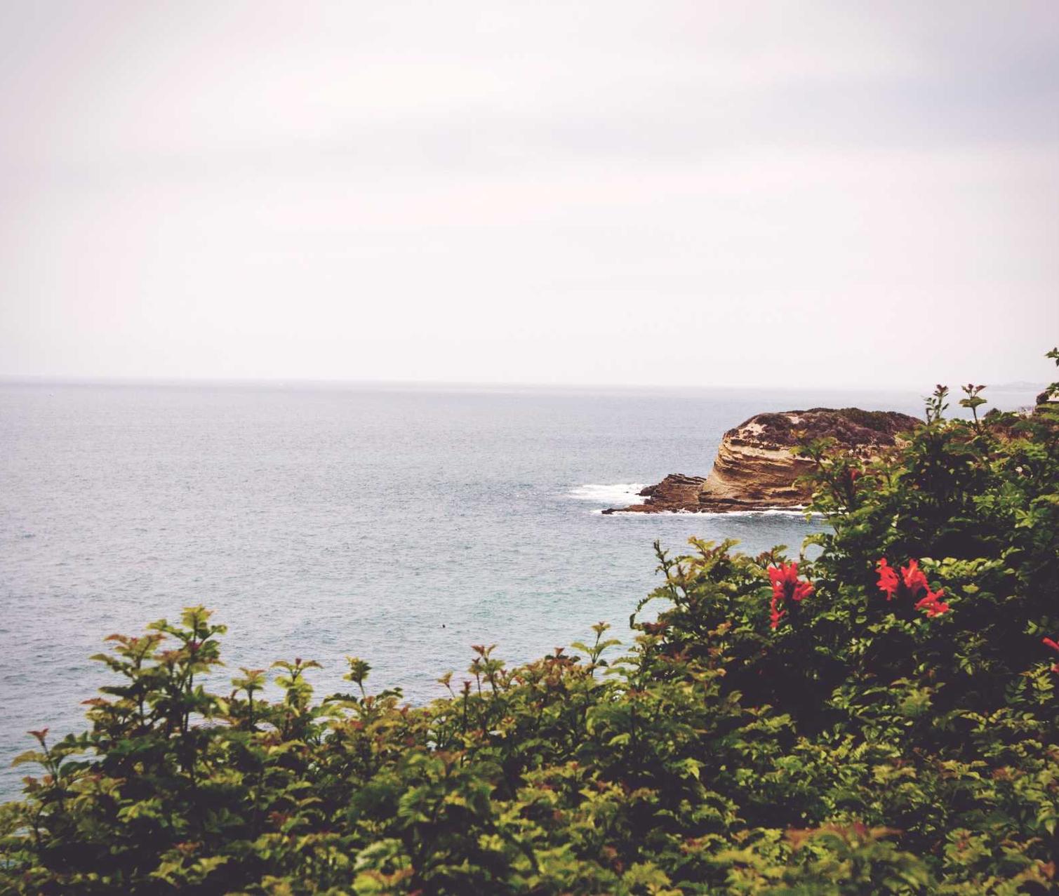 技术支持制作者应当承担的法律责任