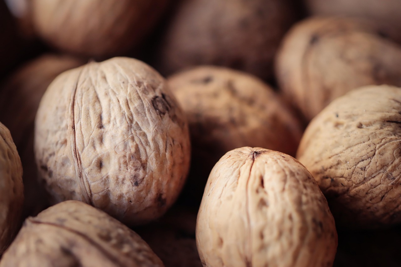 曼切斯特双爆：深圳代理公司注册材料